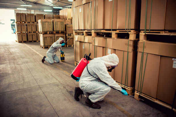 Trusted Fultondale, AL Pest Control Experts