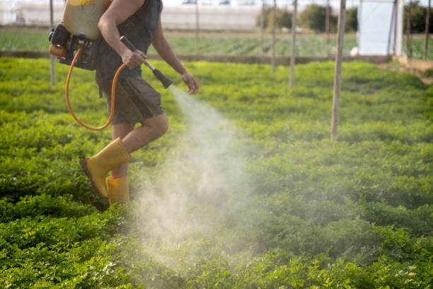 Insect Control in Fultondale, AL