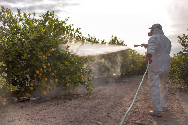 Fultondale, AL Pest Control Company