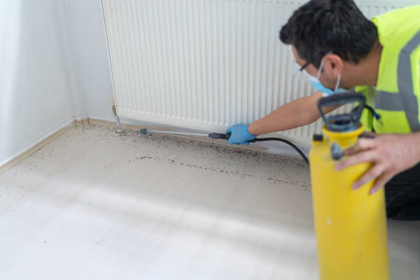 Best Best Pest Control Companies  in Fultonde, AL