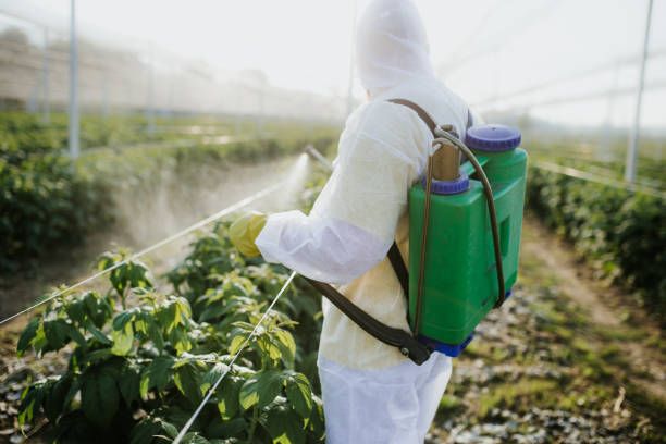 Best Commercial Pest Control Services  in Fultonde, AL